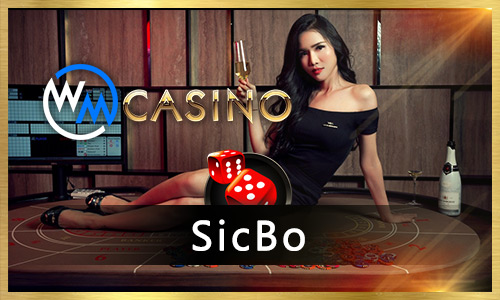 win23 1111bet cassino on-line
