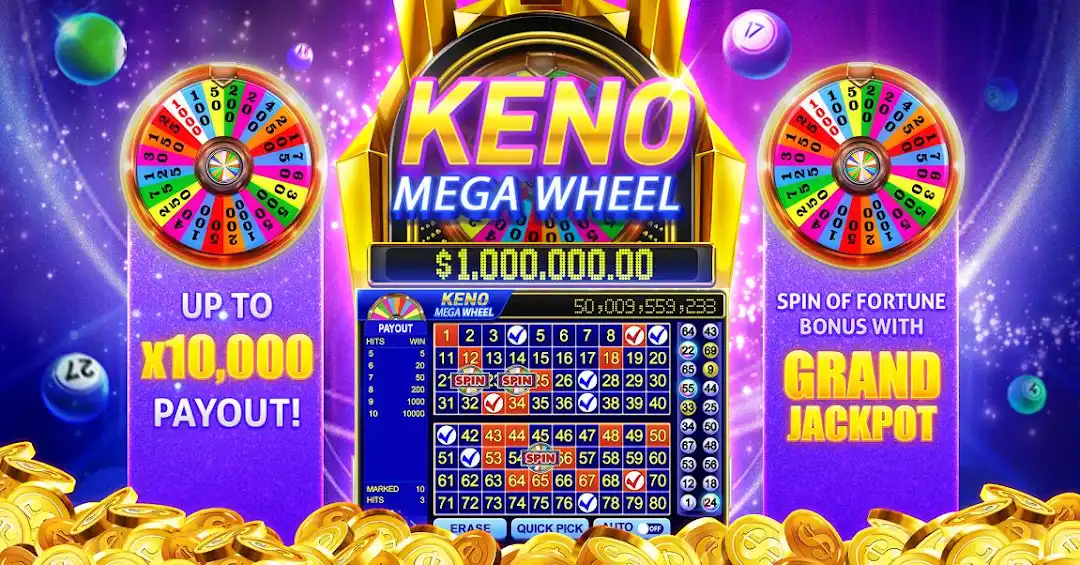 win23 4play bet cassino Android