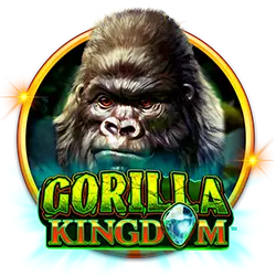 win23 w04 bet cassino on-line